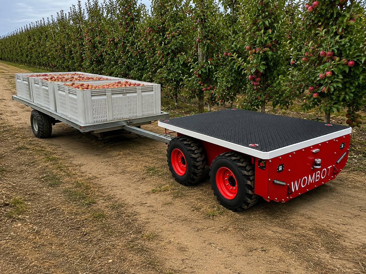 Wombot platform towing apple bins through an orchard